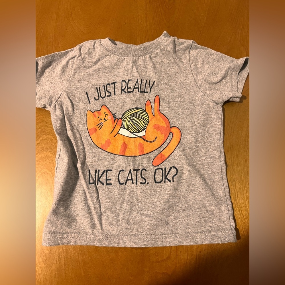 Toddler cat t-Shirt 2T worn once!